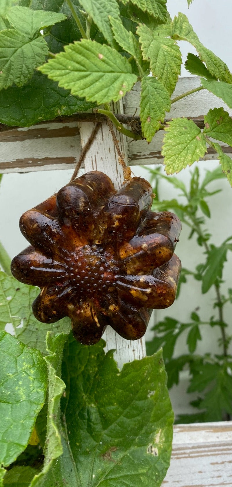 Decorative Deer Repellent