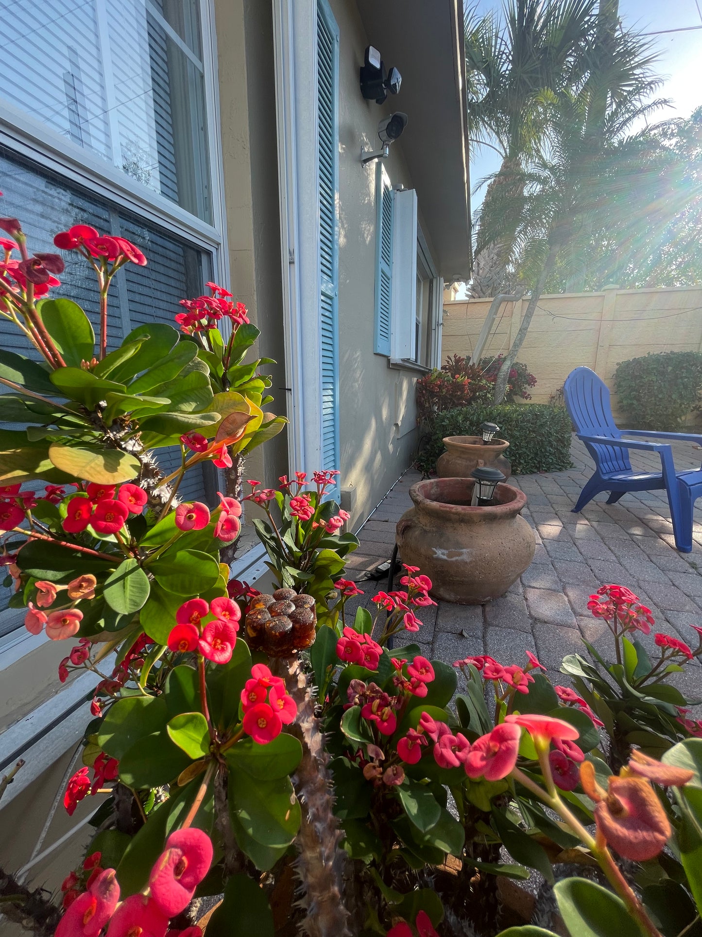 Decorative Deer Repellent