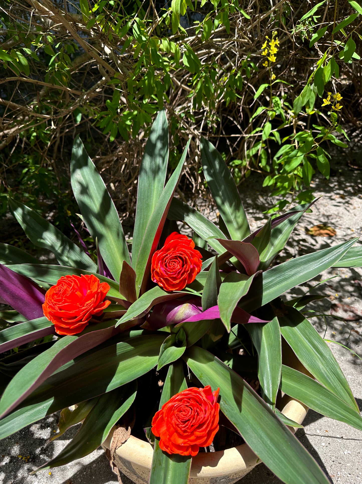 Decorative Deer Repellent