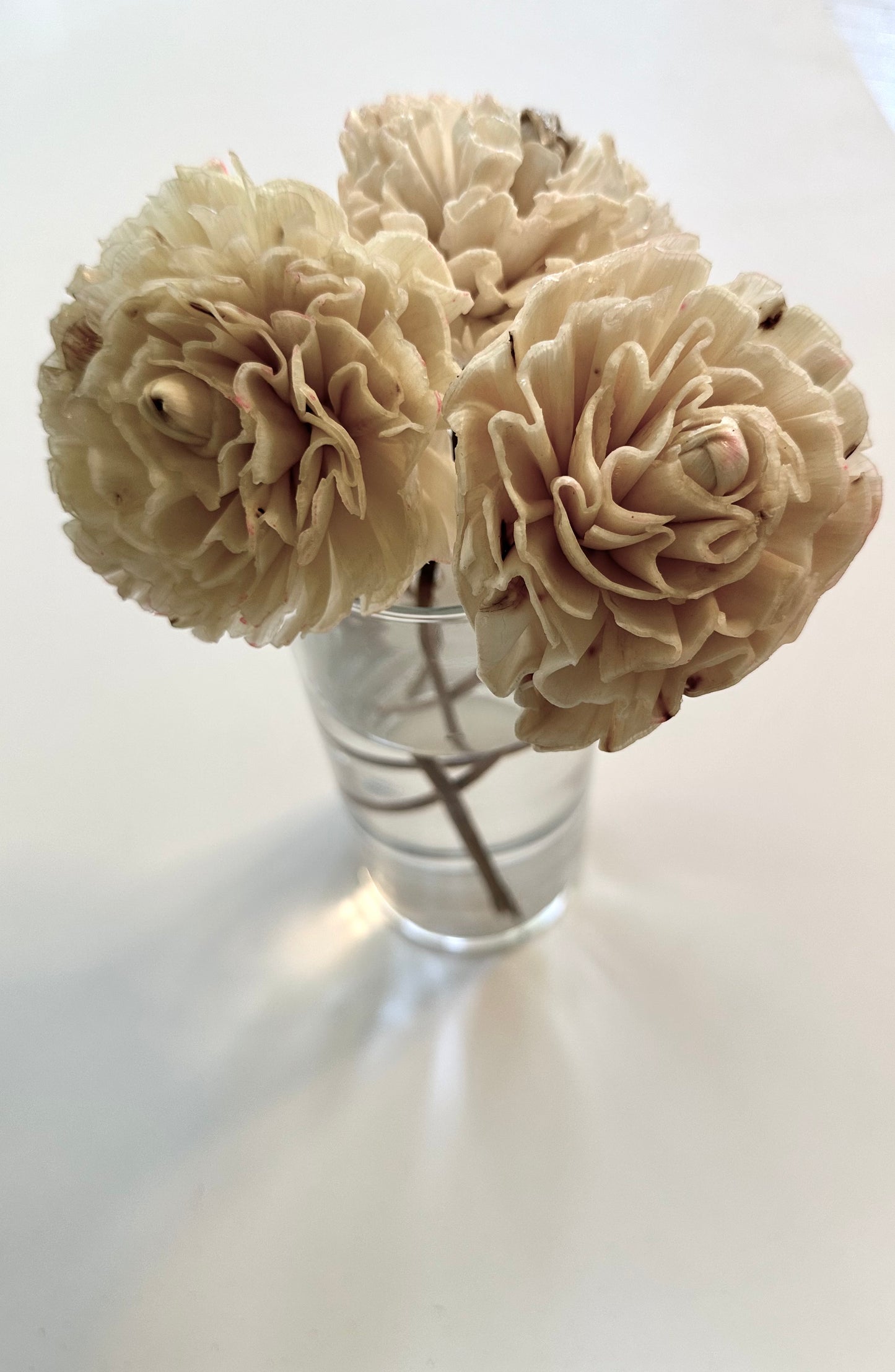 Decorative Deer Repellent